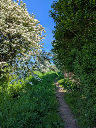 Chemin allant au hameau Fouly, mai 2025