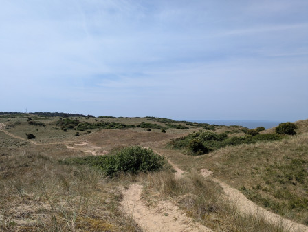Sentier sur les dunes., juin 2025