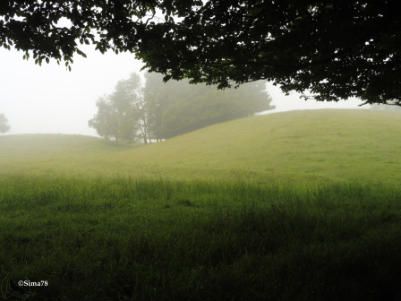 Paysage sous la brume, juin 2024