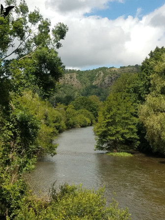 Entre Clécy et Camping-Suisse-Normande, juin 2024