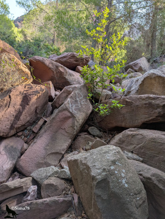 Marquage sur la roche, août 2025