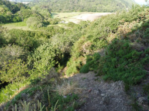 Vue plongeante depuis un sentier rocheux et pentu sur une vallée boisée et des vasières à marée basse, GR34, presqu'île de Crozon
