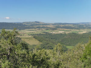 Vue panoramique depuis les hauteurs boisées sur la vallée verdoyante et encaissée du ruisseau de la Roche, avec prairies, bois et collines ondulantes à l'horizon, sous un ciel bleu d'été.