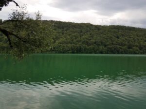 Vue depuis la rive du lac du Val dans le Jura, sous un ciel couvert et menaçant. Les eaux d'un vert émeraude profond, légèrement ridées par le vent, contrastent avec la forêt dense qui recouvre entièrement la colline en arrière-plan. Une branche de saule pleureur s'incline dans le cadre en haut à gauche.