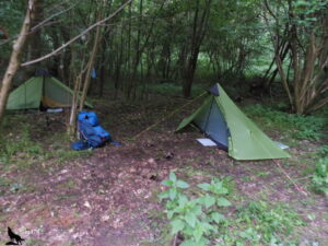 Deux tentes légères de randonnée vertes installées en sous-bois, avec un sac à dos bleu au sol, lors d'un bivouac en forêt dans le Pays de Caux.