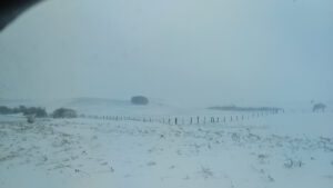 Paysage enneigé et brumeux du plateau du Cézallier en Auvergne, photographié depuis la fenêtre d'une voiture : vastes estives recouvertes de neige, clôtures de barbelés et bosquets noyés dans le brouillard hivernal.