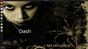 Capture d'écran montrant d'une flèche le "Dash" à gauche