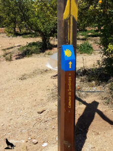 Poteau de balisage du Camino de Santiago avec une flèche jaune sur fond bleu et une coquille Saint-Jacques, planté dans un chemin de terre entouré d'orangers
