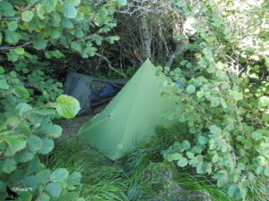 Deux tentes de bivouac légères, une tarp et une tente pyramidale verte, dissimulées dans un sous-bois dense de noisetiers en Auvergne.