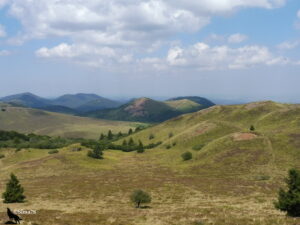 Panorama sur la Chaîne des Puys depuis les hauteurs, avec des cônes volcaniques aux flancs ocre et verts ondulant jusqu'à l'horizon sous un ciel nuageux.