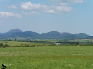 Vue panoramique depuis une prairie verdoyante sur la Chaîne des Puys, avec le Puy de Dôme reconnaissable à son antenne à gauche et des cônes volcaniques aux flancs ocre à droite.