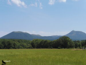 Vue panoramique sur la Chaîne des Puys depuis une prairie verdoyante de la vallée de la Sioule, avec plusieurs cônes volcaniques alignés et le Puy de Dôme reconnaissable à son antenne sommitale à droite.