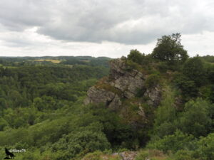 Éperon rocheux de grès armoricain aux strates apparentes, couronné d'un chêne, émergeant d'un massif forestier dense, avec en arrière-plan un vaste panorama sur les vallées boisées et le bocage de la Suisse Normande sous un ciel couvert.