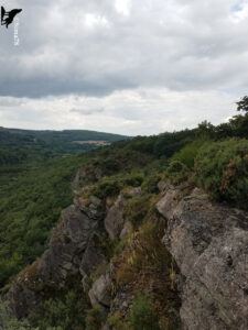 Vue depuis une crête de grès armoricain couverte de landes et de genêts, dominant un vaste massif forestier vallonné avec des collines boisées et des parcelles agricoles à l'horizon, sous un ciel nuageux en Suisse Normande, Normandie.