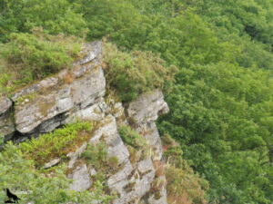 Vue plongeante sur des strates de grès armoricain couvertes de bruyères, fougères et genêts, surplombant à pic une canopée dense de chênes et de hêtres en Suisse Normande, Normandie.