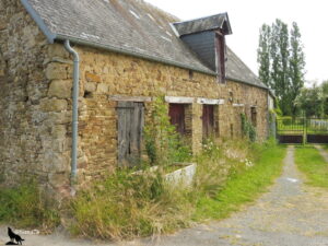 Façade d'un ancien bâtiment agricole normand en pierre de grès et calcaire, aux portes vermoulues et envahi par la végétation, avec un vieux abreuvoir en béton au pied du mur, le long d'un chemin de terre en Suisse Normande, Normandie.