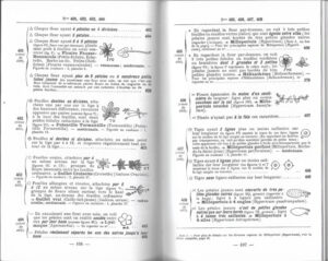 Double page intérieure des Noms des Fleurs de Gaston Bonnier, présentant les clés de détermination dichotomiques illustrées des numéros 401 à 408, couvrant notamment la Tormentille, les Gaillets, la Lysimaque et plusieurs espèces de Millepertuis, avec figures botaniques au trait.