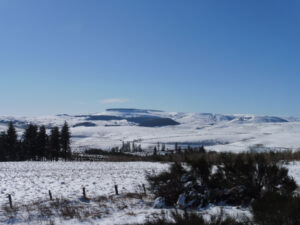 Vue panoramique sur les plateaux enneigés du Cézallier par temps clair, avec en arrière-plan un sommet tabulaire caractéristique du massif, des épicéas et des landes de genêts au premier plan.