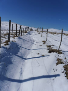 Chemin enneigé bordé de deux rangées de clôtures en fil barbelé et poteaux en bois, montant vers un plateau d'altitude sous un ciel bleu sans nuages.