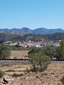 Vue panoramique sur le village de Sot de Ferrer, aux toits ocre dominés par le clocher à coupole de son église baroque, encadré de collines boisées et du massif montagneux valencien, avec une voie ferrée au premier plan