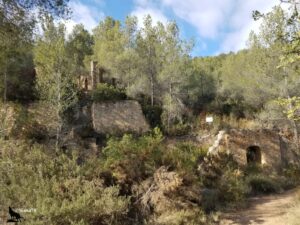 Ruines de bâtiments anciens en pierres sèches envahis par la végétation, avec une arche en plein cintre visible en bas à droite, sur un flanc de colline boisé de pins et de garrigue