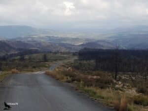Route goudronnée descendant depuis un col vers une vaste vallée montagneuse sous un ciel couvert, bordée à droite d'arbres calcinés témoignant d'un incendie passé, avec un paysage de landes rousses et de reliefs bleutés s'étendant à l'infini