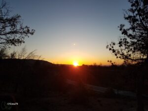 Lever de soleil spectaculaire sur la sierra valencienne, le disque solaire orange et incandescent affleurant la ligne de crête sombre, encadré de silhouettes d'arbres en contre-jour sur un ciel bleu ardoise