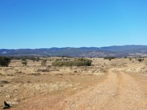 Piste de terre ocre et caillouteuse serpentant vers l'horizon à travers un plateau semi-aride aux herbes sèches et aux arbustes épars, avec une chaîne de montagnes bleutées en arrière-plan sous un ciel d'un bleu immaculé
