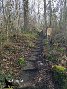 Escalier de pierres étroites montant dans un sous-bois hivernal dénudé, bordé de feuilles mortes, de mousse et de lierre, avec un poteau baliseur rouillé portant des marques de sentier bleu et jaune. Photo ©Sima78.