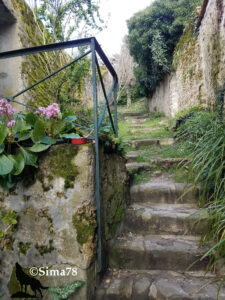 Escalier ancien en pierres usées et moussues, encadré de vieux murs de pierre couverts de lierre et de végétation, avec une touche de couleur apportée par des fleurs roses en pot au premier plan. Ruelle de Chevreuse. Photo ©Sima78.