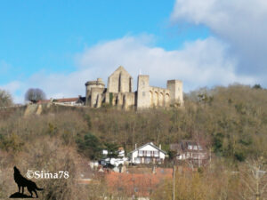Vue d'ensemble du château médiéval de Chevreuse perché sur son éperon boisé, avec ses tours rondes, ses remparts et ses ruines dorées se découpant sur un ciel bleu nuageux, photographié depuis le parking du point de départ de la randonnée. Photo ©Sima78.