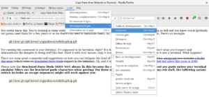 Capture d'écran de Firefox avec le menu Outils > Développement web > Inspecteur ouvert, sur une page traitant des dangers du copier-coller depuis un site web vers un terminal.