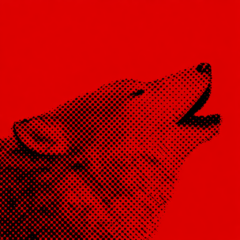 Tête de loup sur fond rouge en halftone