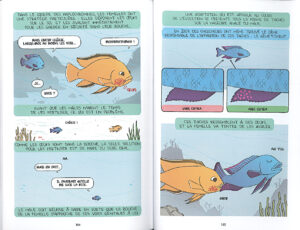 Illustration humoristique et scientifique expliquant la stratégie de reproduction des haplochromines : les femelles avalent leurs œufs pour les protéger avant la fécondation. Le gène "csf1ra" est mis en avant comme responsable de l'apparition de taches sur la nageoire anale du mâle, imitant des œufs.