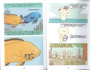 Illustration humoristique et scientifique expliquant les stratégies de reproduction des haplochromines et des suricates. Les femelles haplochromines gardent les œufs fécondés dans leur bouche jusqu'à l'éclosion, tandis que les suricates pratiquent une reproduction communautaire où tout le groupe aide à élever les petits.