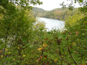 Vue en plongée sur un lac bleu-gris encaissé dans une vallée boisée des Yvelines, aperçu à travers un rideau d'arbustes aux feuilles virant au jaune et au brun en automne
