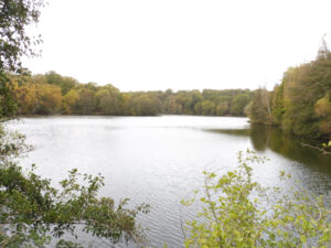 Vue panoramique sur un lac forestier aux eaux légèrement ridées, entièrement cerné de feuillus aux teintes automnales jaune, vert et roux, sous un ciel blanc et uniforme dans les Yvelines