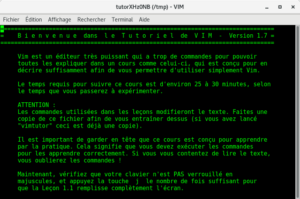Capture d'écran du tutoriel Vim en français, affichant une introduction au logiciel Vim, ses objectifs pédagogiques, et des instructions pour configurer son clavier avant de commencer le cours.