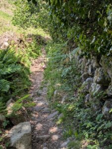 Sentier étroit et pierreux en légère montée, encadré d'un muret de granite couvert de mousse à droite et d'une végétation dense de fougères et d'arbustes, filtrant la lumière en taches de soleil sur le sol, au sud de Becquet dans le Cotentin.