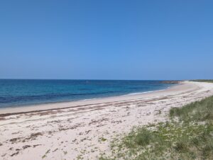 Longue plage de sable blanc déserte en courbe douce, bordée d'une dune herbeuse à droite et d'une mer aux teintes turquoise et bleu profond à gauche, avec une laisse de mer sombre et des rochers affleurant à l'horizon, sous un ciel bleu sans nuages.