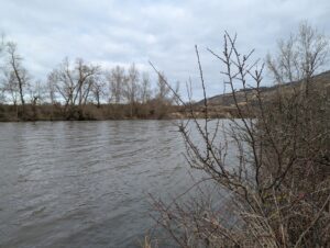 Vue depuis la rive de l'Allier sur un cours d'eau large aux eaux chargées et grises, bordé d'une ripisylve d'arbres à feuilles caduques entièrement dénudés ; au premier plan, des arbustes aux bourgeons naissants ; en arrière-plan sur la rive opposée, un coteau pentu aux teintes ocres et brunes sous ciel nuageux.