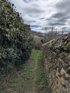 Sentier étroit encaissé entre une haie dense de ronces et de lierre chargée de mûres fanées à gauche, et un mur de pierres volcaniques couvert de mousse et de lichens à droite, s'ouvrant sur un ciel nuageux avec quelques trouées bleues et un aperçu du village en arrière-plan.