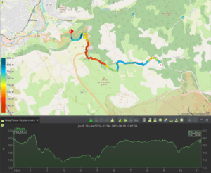 Carte du tracé GPX du deuxième jour du Tour du Larzac, reliant le point de bivouac à l'Éco-Camping du Larzac sur environ 11,2 km, colorisé du rouge au bleu-cyan selon l'altitude entre 730 et 810 m, avec un profil altimétrique démarrant à 796 m, descendant vers 745 m en milieu d'étape puis remontant progressivement, enregistré le jeudi 19 juin 2025.