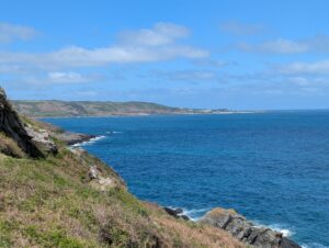Vue en plongée depuis un sentier de corniche sur une côte rocheuse couverte de lande, avec des falaises schisteuses plongeant dans une mer d'un bleu profond, et une baie sablonneuse visible à l'horizon, sous un ciel bleu à cumulus épars.