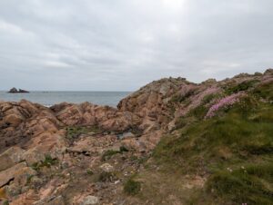 Chaos de rochers de granite rose-orangé couverts de lichen jaune au bord de la mer, avec une pente herbeuse parsemée d'arméries maritimes en fleurs roses, sous un ciel couvert et gris, au cap de la Hague.