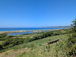 Vue panoramique en hauteur depuis une pelouse avec un banc en bois au premier plan, sur la réserve naturelle de la mare de Vauville : un plan d'eau entouré de roselières et de dunes herbeuses, séparé de la mer par un cordon dunaire, avec des falaises s'étirant à l'horizon, sous un ciel bleu sans nuages.