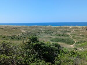 Vue panoramique en hauteur sur un vaste massif dunaire couvert d'oyats et de végétation rase, parcouru par un sentier sableux sinueux balisé de poteaux, avec la mer bleue visible à l'horizon, sous un ciel bleu sans nuages.