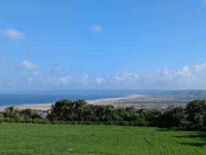 Vue panoramique depuis un champ herbeux en hauteur sur le vaste massif dunaire de Biville s'étirant vers le sud le long du littoral, avec une longue plage de sable, la mer bleue et des falaises lointaines visibles à l'horizon, sous un ciel bleu à cumulus blancs.