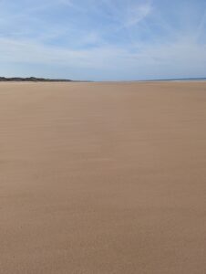Vaste plage de sable fin totalement déserte à marée basse, s'étendant à perte de vue vers l'horizon, avec un cordon de dunes à gauche et la ligne de mer à peine visible au loin, sous un ciel bleu pâle strié de traînées de condensation.