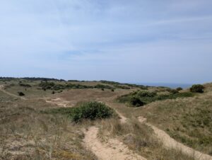 Sentier sableux serpentant à travers un massif dunaire fixé couvert d'oyats, de touffes d'arbustes et de végétation rase, avec la mer visible à l'horizon à droite et une masse boisée à gauche, sous un ciel bleu légèrement voilé.